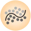 Polynomial Classification